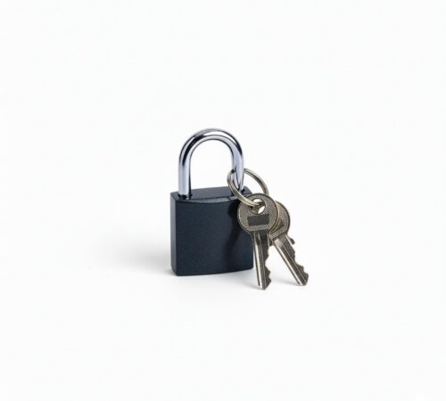 MTS Secure Iron Padlock 25mm