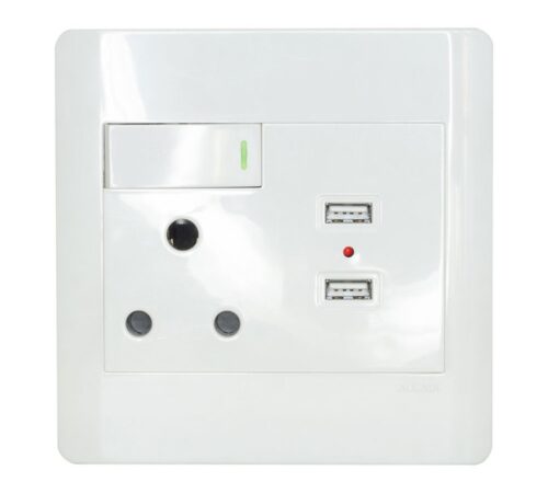 Keystone SA / Euro Socket with Dual Switch & USB (4x4)